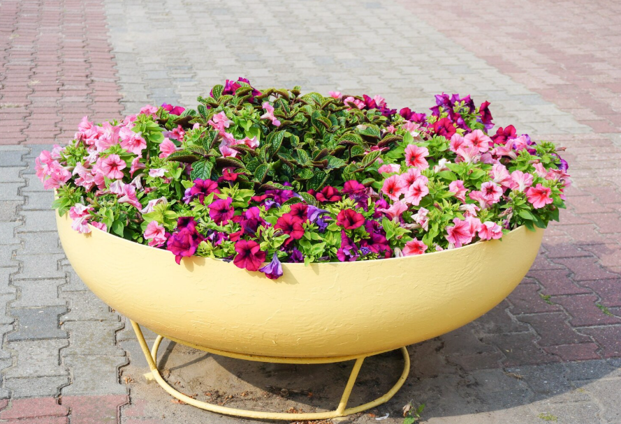Large yellow planter filled with pink and purple petunias, showing the thriller, filler, spiller container gardening method.