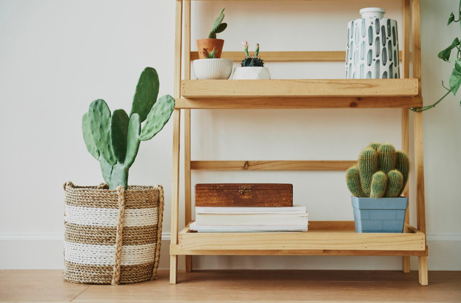 Minimalist wooden open shelves styled with books, vases, and small plants